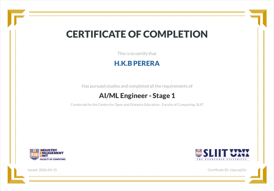 AI/ML Engineer